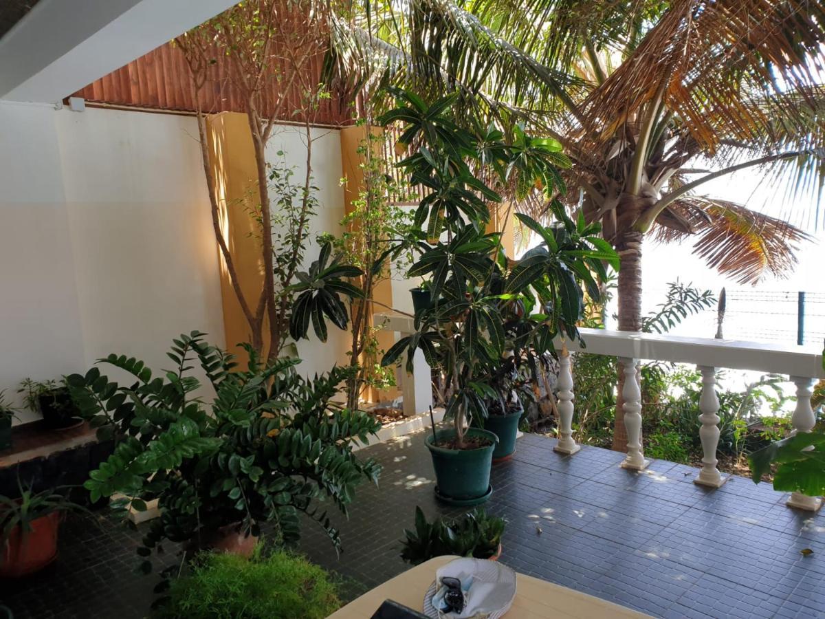 Cactus Guest House Cidade Velha Dış mekan fotoğraf